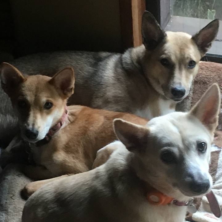 F61bff1e a708 435f 9adb 47f41a9b8b6e 1507957642577