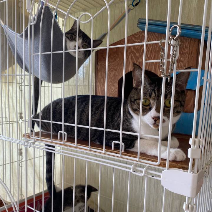 F61c372b 8224 42bd 959b 67b93f0f7ce1 1722483076732