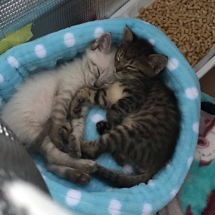 F61c4af8 be27 48a4 955e f130f4d2e426 1556923852074