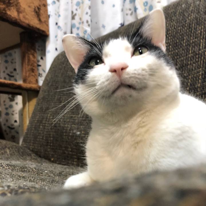 F61c8bcb 53c8 4c3f bf65 a93a7354e755 1519097848634