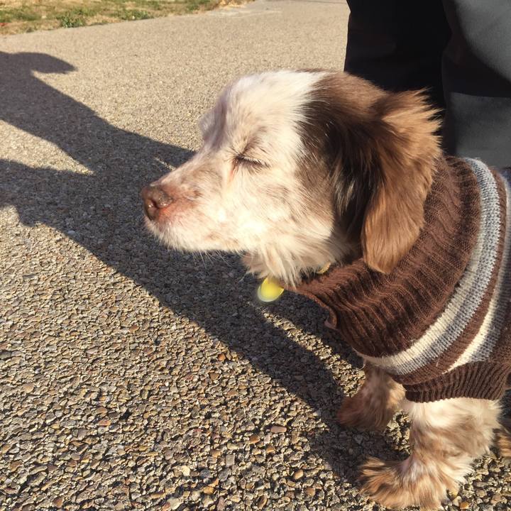 F61cab1d 0690 4f23 b605 5bf40e407819 1518021253628