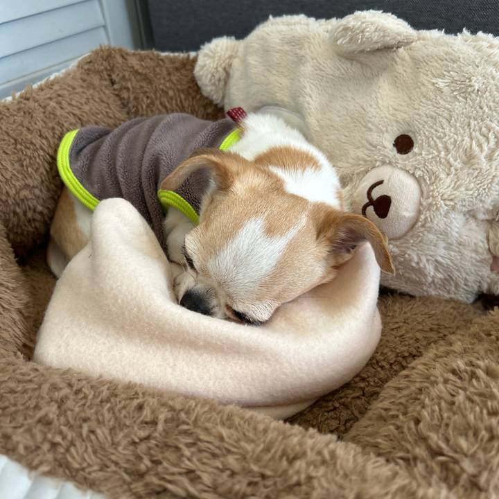 F61cab6c 44e0 485f a0e0 98d53c61c7e2 1769305684724