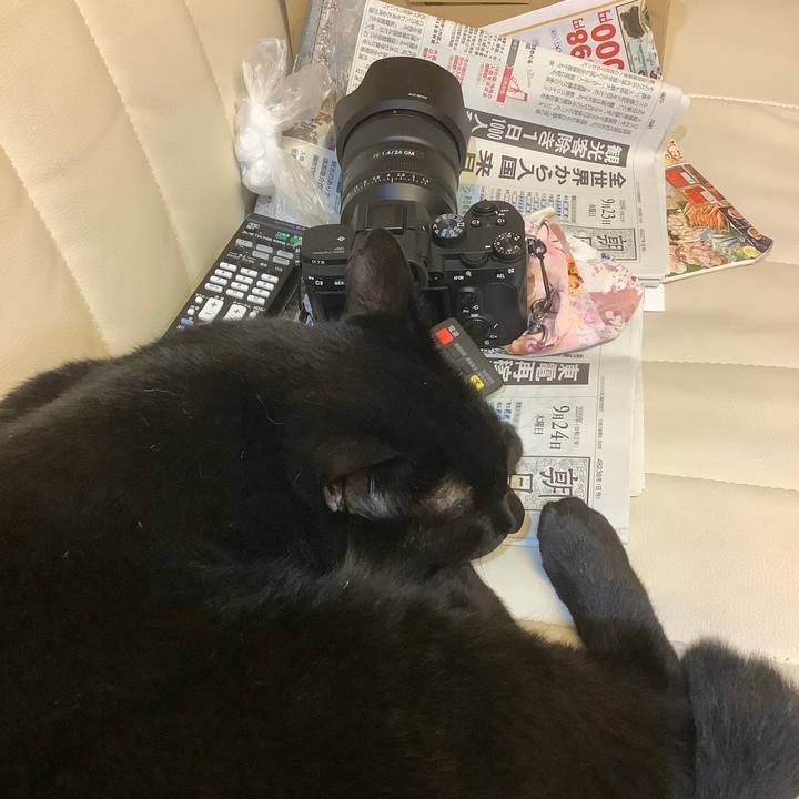 F61cdafb 4b38 478a 8e9b 551032a3b8db 1600956603918