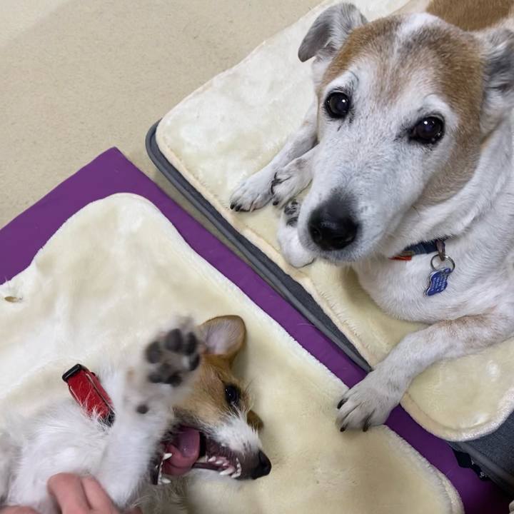 F61ce369 cecf 4be3 8500 79022a7503b9 1642939458137