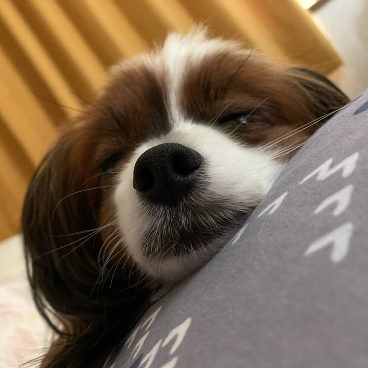 F61cf6e2 90c3 4c28 8c4f 10e4fe95ad7f 1684626296757