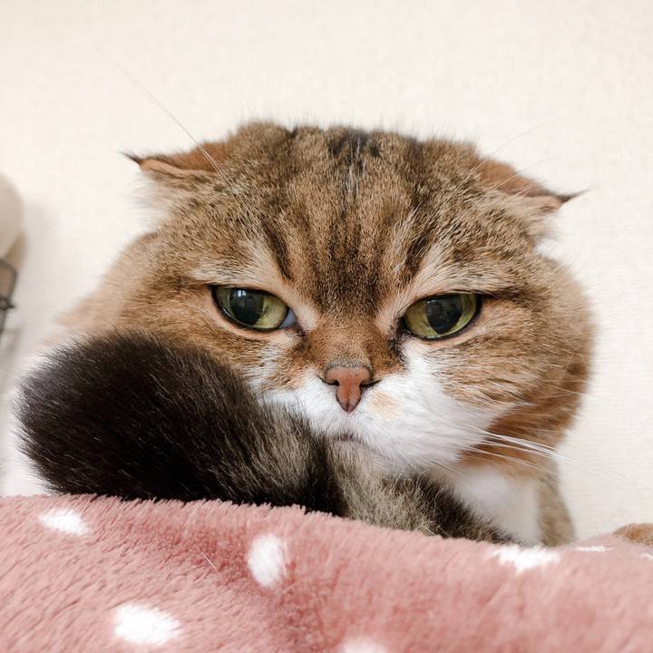 F61d3c94 540f 4e6a b184 fa4c9a35245f 1555490385552