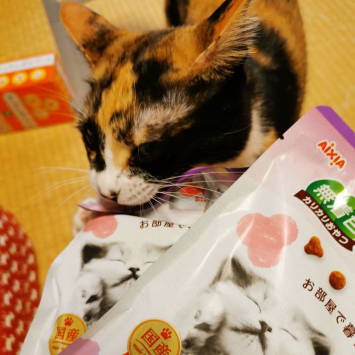 F61d518d a409 49c5 b3ee 1fc0cd29ae0e 1655350739294