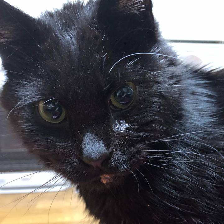 F61d6b78 34ad 4113 8430 02f4da59045d 1645267007928