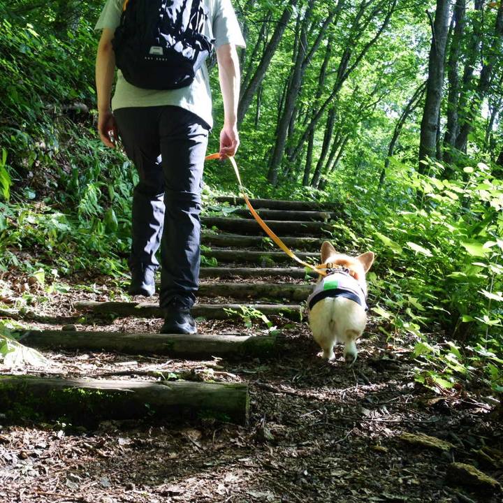 F61d8ea3 d068 4a21 8b2e bf1f5c659d9e 1659968496454