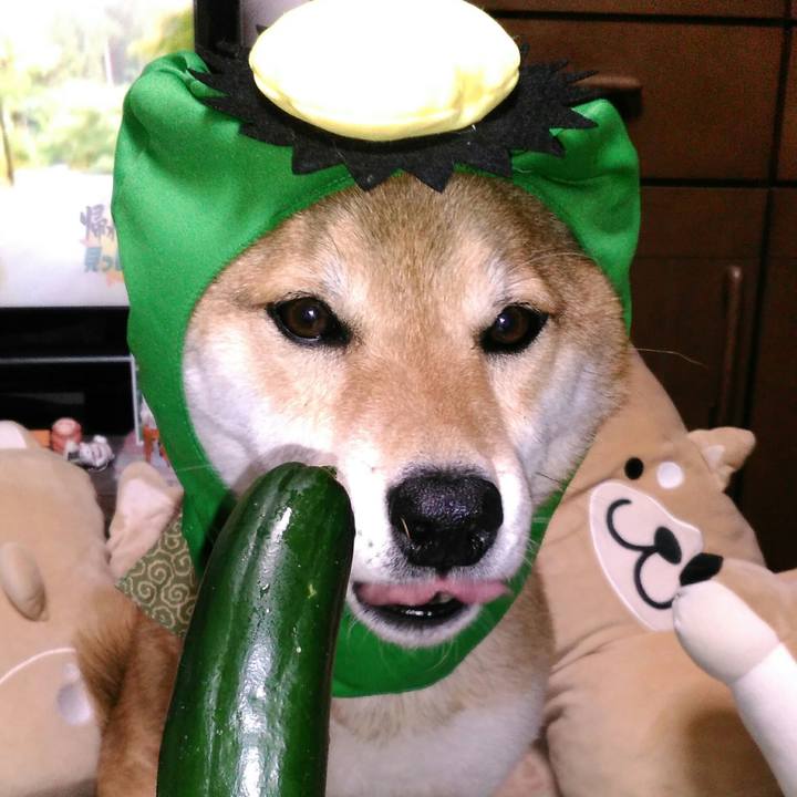 F61dbb0b 4a79 4a4b 9535 2ebf99a1c6b1 1528712392485