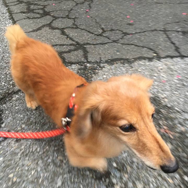 F61dc381 cf44 4132 abf5 ca5922978c76 1631964821005