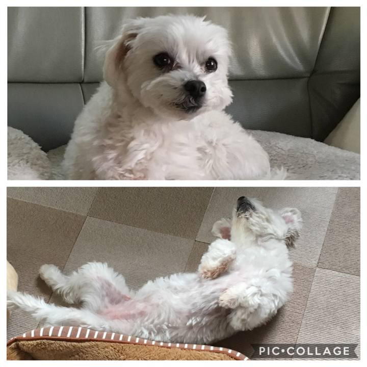 F61de7cd e72a 4948 873b 87beb88daf44 1549980954913