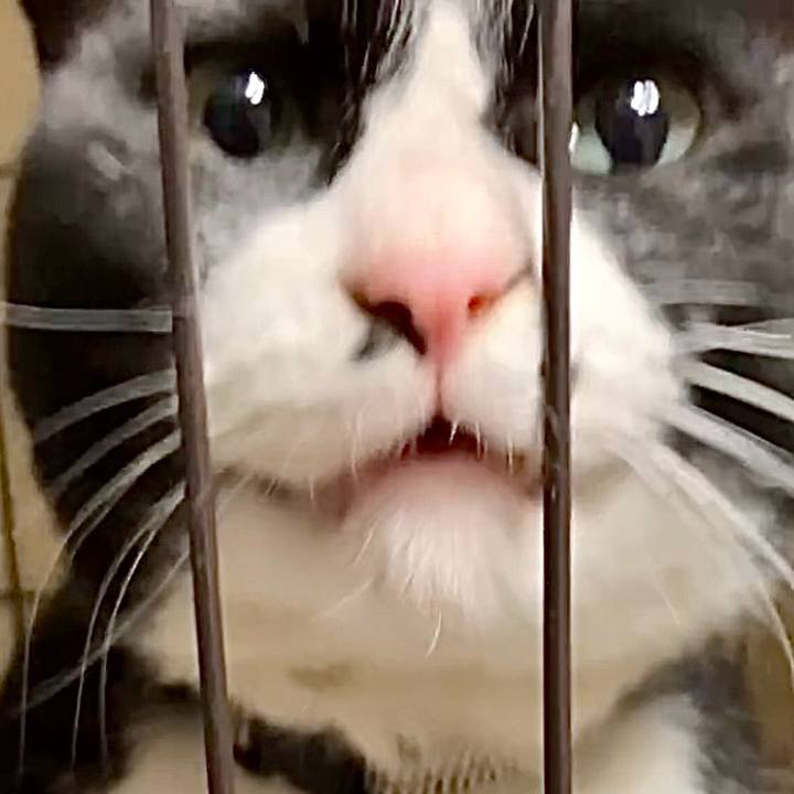 F61df5db 7410 49c8 bd2e 337b08391779 1740821232777