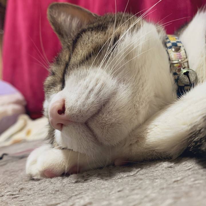 F61df65a ee64 48cc a1d6 0c55a52e6fed 1581342796647