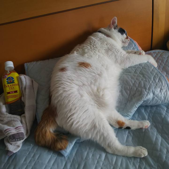 F61e0465 cfd6 4012 b926 de1fee23678f 1564900805689