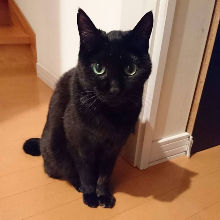 F61e09ba 41db 4d77 a131 0d62c381b0c7 1509890024504