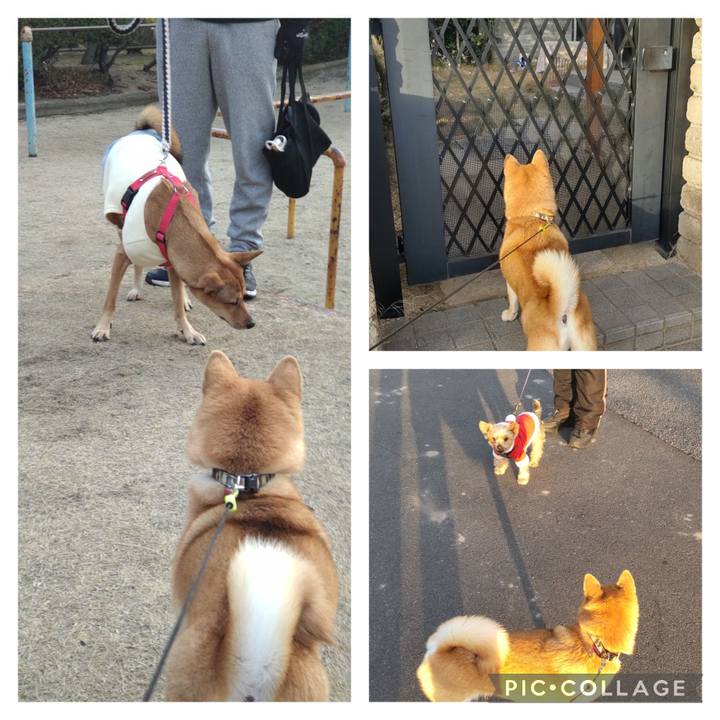 F61e2b0f 0882 48c8 9af1 5aacb9772060 1703287401188