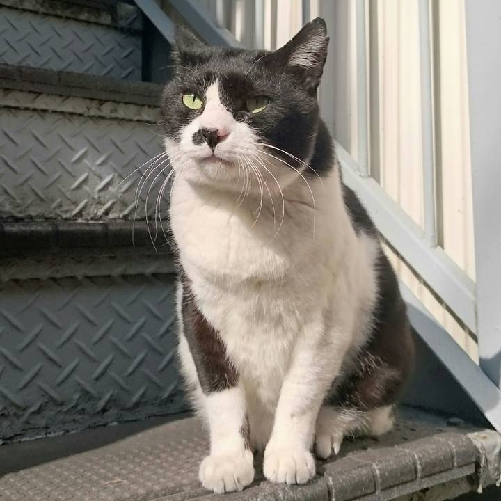 F61e3345 ebb7 4a28 b6e8 0526ae1abef8 1516505889640