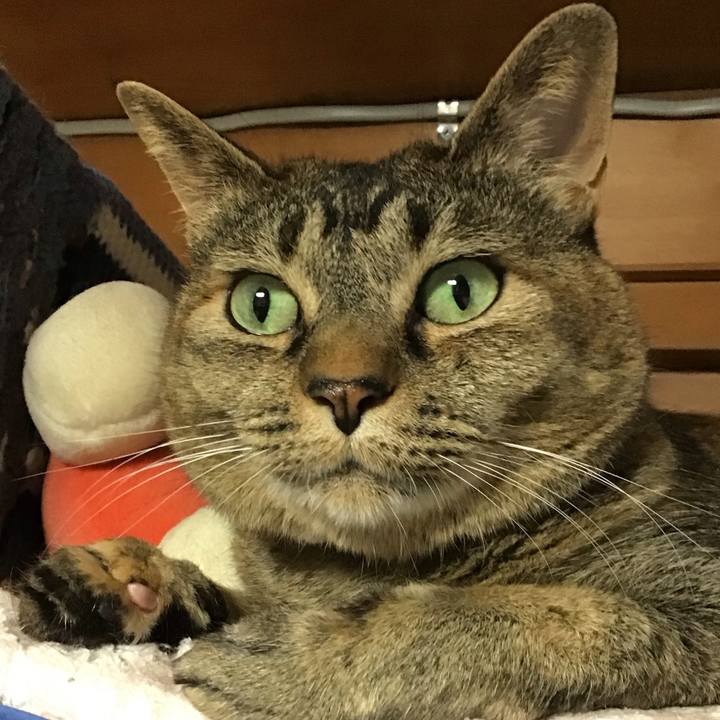 F61e4941 ce22 411e b96e d9f6e8dded88 1751108678934