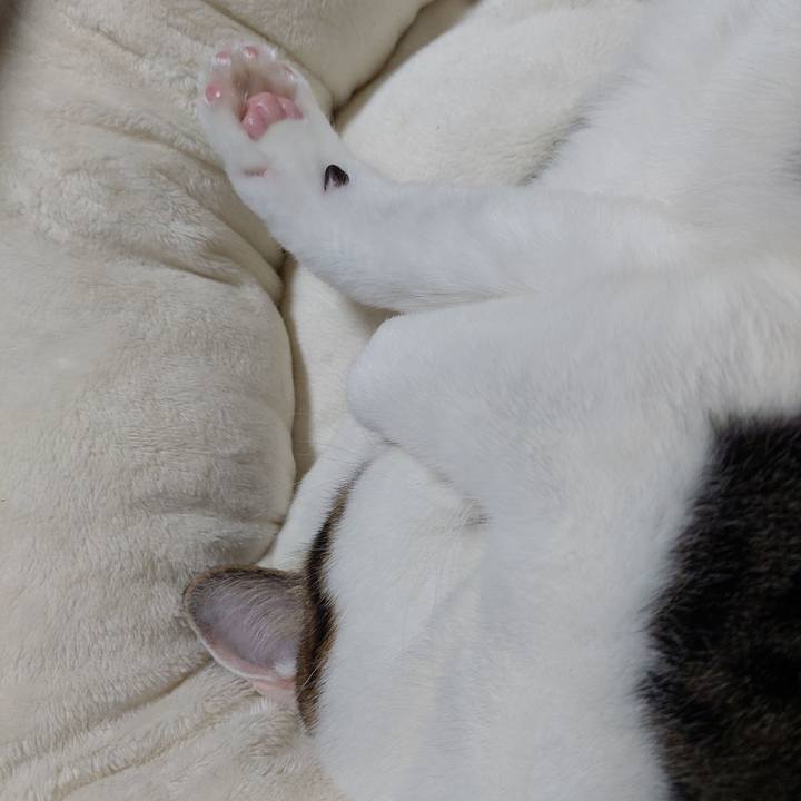 F61e56ab 7fec 45be 82dd 957a970c0ba7 1672312816884