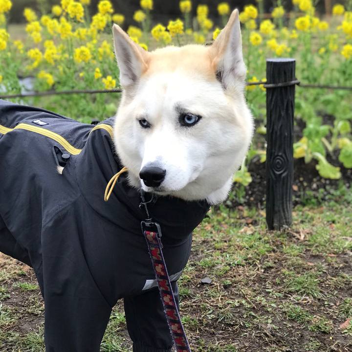 F61e57a0 f55b 43cc aeb5 6afb424dae3d 1520470147423