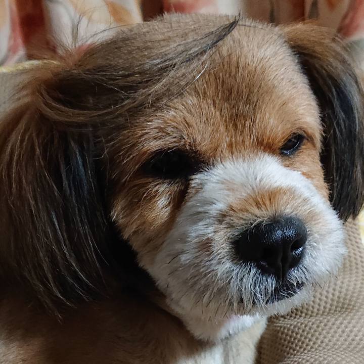 F61ebb0d 1f9c 42c9 81f4 8035f4e7fd62 1563373661644