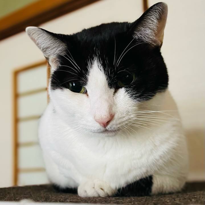 F61ecf3a 1a81 4b8b a1ef 1ea65f821b73 1640395448296