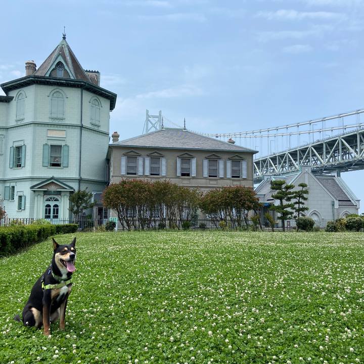 F61efc51 09f2 4375 acb0 6d533b797ebf 1624578659542