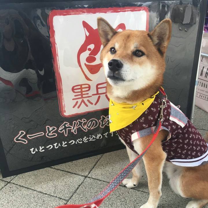 F61f34be d3c0 4c26 856e bae726e976c1 1572771911361