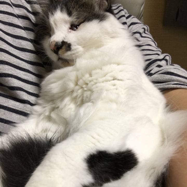 F61f357a e75b 44b9 bf1d 73419d1b1bbf 1559957887153