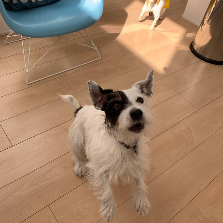 F61f45f3 883d 46f5 9bea cf5cd5b6d364 1636335981689