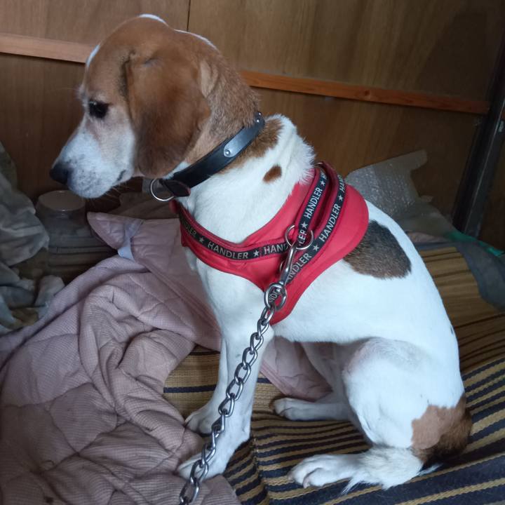 F61f76ed 1d10 4685 841b 0f285448b042 1728904286797