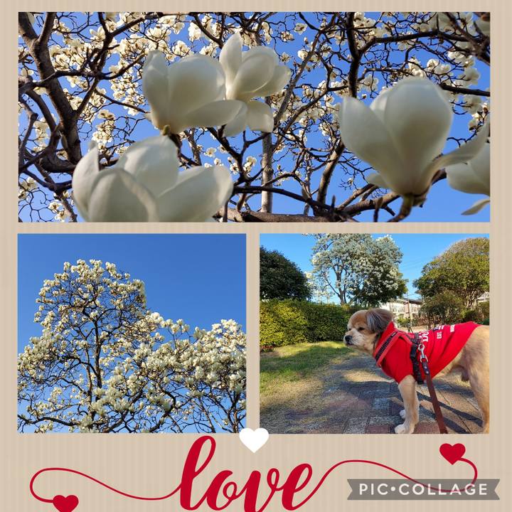 F61f7c28 ca61 4725 868d c3048044d238 1647333100552