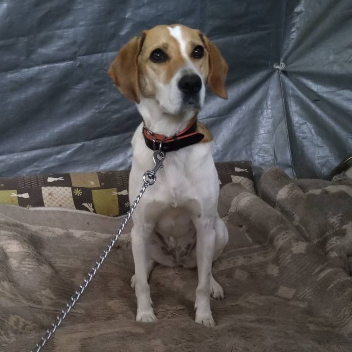 F61fb6ed 526d 48ef b9c1 27206b19526a 1621512956877