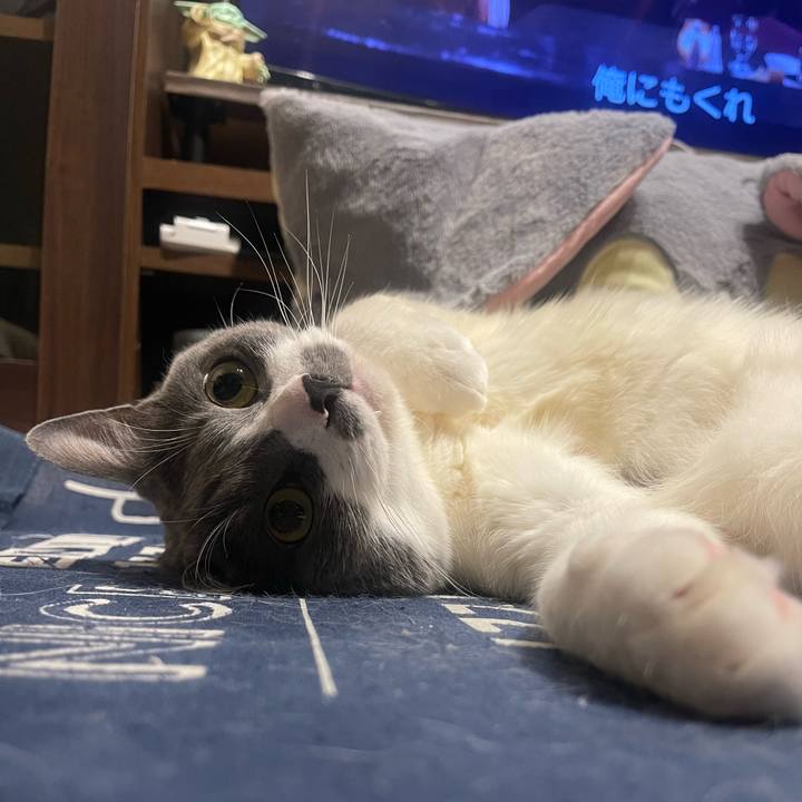 F61fc5c4 3f2d 449e b7cd 05df718b4005 1747843093461