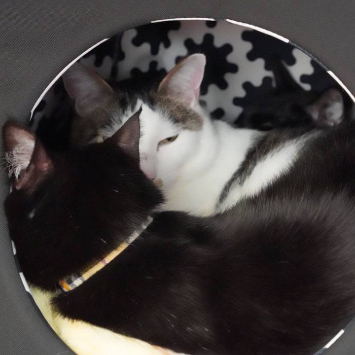 F61fccce 596d 4b57 adc6 092043c290f9 1580560023194