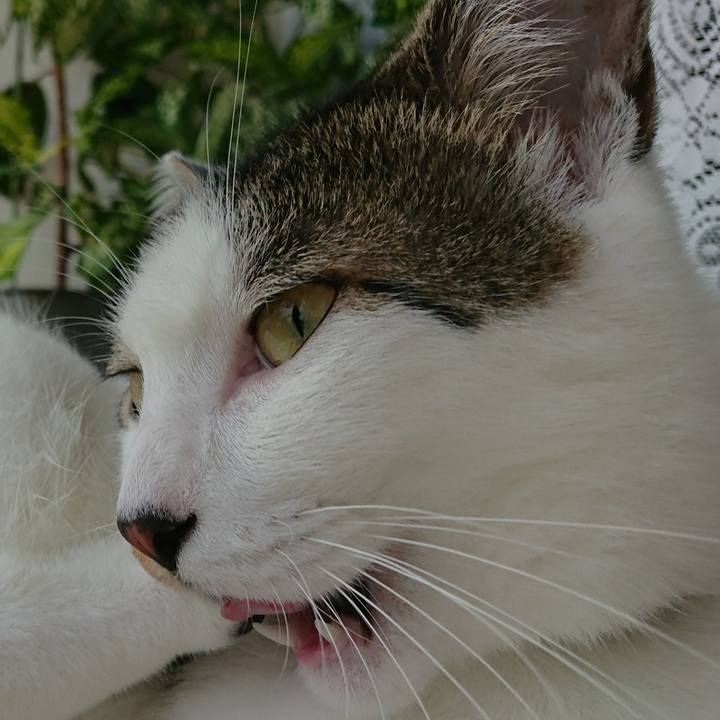 F61fdb54 a636 41c1 a2f1 f2ffbc99994d 1509607340673