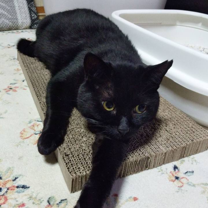 F61febd7 b0de 4a56 94dc d0d82371d6d9 1623998257942