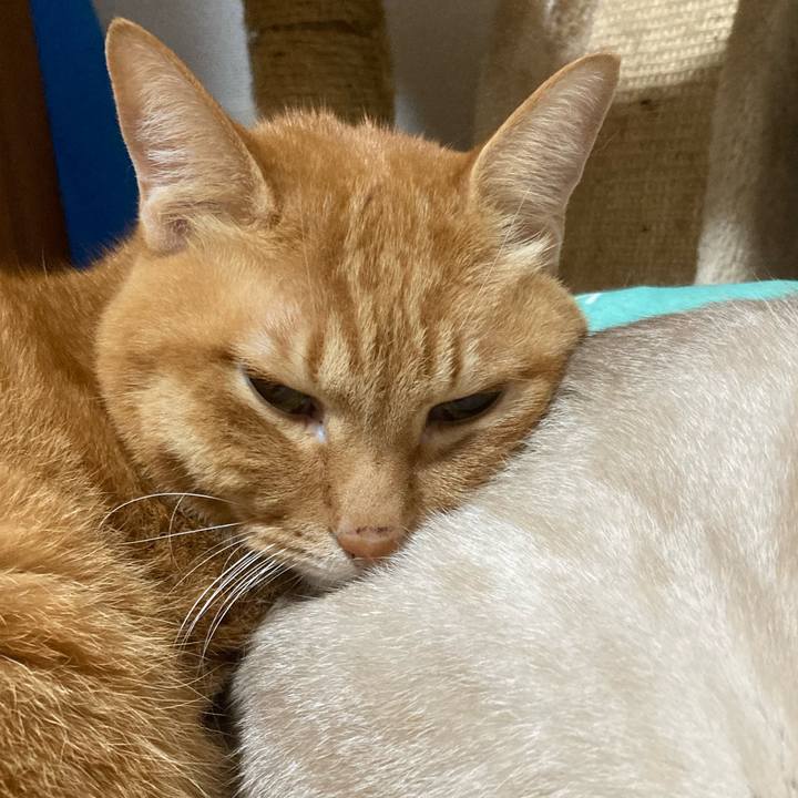 F61fef3e db0c 4d45 af13 2db5f442db64 1766764529169