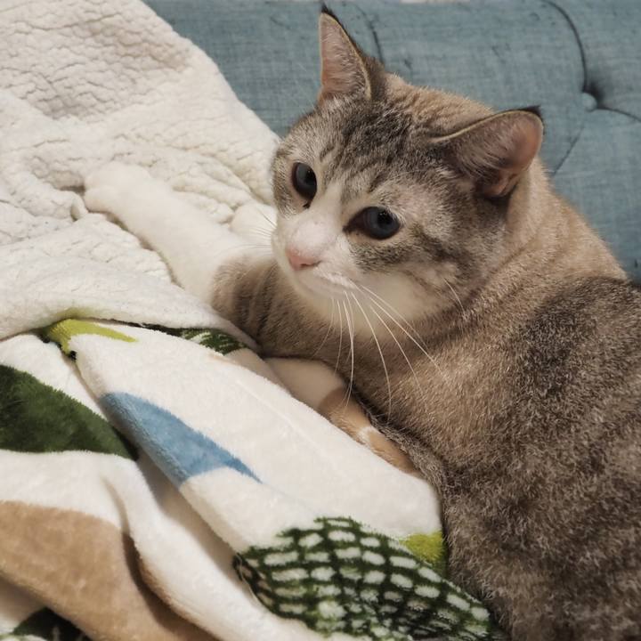 F61ff739 ee22 4380 8201 eaa32fcce364 1602060222231