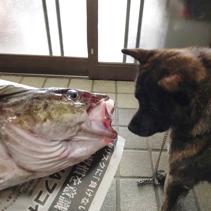 F61ff8a1 bf0f 4d78 9dd9 3ec7ed5caf4c 1519899866894