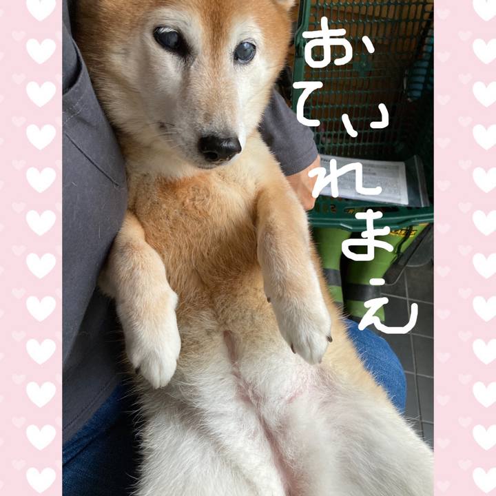 F6203a93 69b6 4018 a492 0ddd2ea943d3 1716552464265