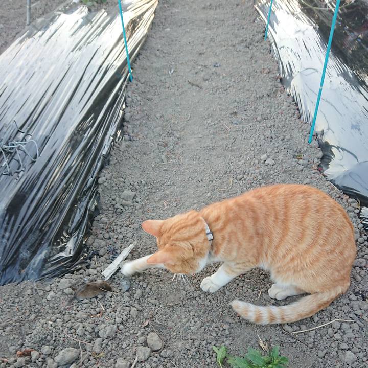 F6209ed7 a41c 44b4 a729 47d0d540c30d 1590831997690