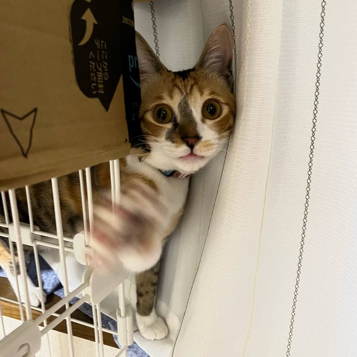 F620ba0a 390c 473c b5b3 38e521888ade 1670279227546