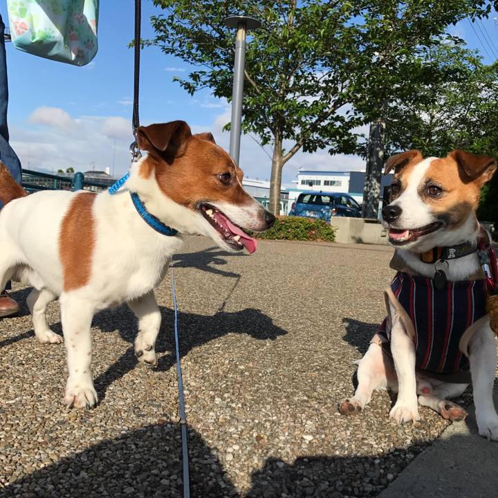 F620c89d 333f 44ec 988b af2115165617 1716899482315