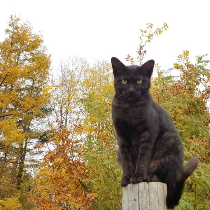 F6212146 2af7 42dc 937b d874bdbddd19 1572581202075