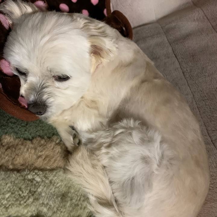 F62176fb c81c 4796 aa29 8b97ae35e07c 1579871063332