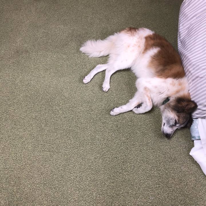 F621d228 5493 4444 aca5 6b77e43fdb83 1539320762610