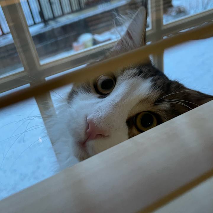 F621f1b6 1880 48e7 bcfa d373ddd69947 1639778301138