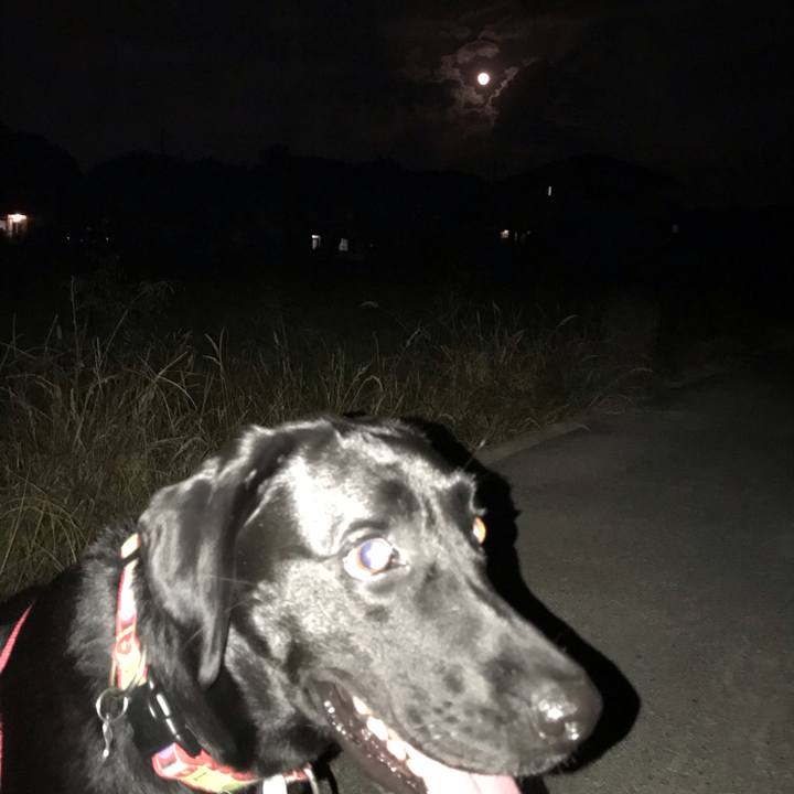 F62220be 4810 46db abaf fe6dd85a874e 1540374920057